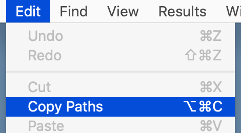 Copy paths